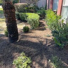Fresh Mulch and Landscape Update in Waxahachie, TX 9